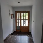 El Estudio De Buenavista *